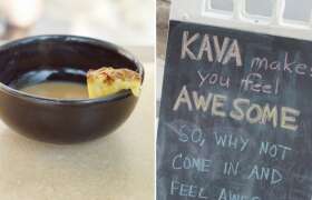 News The Kava Craze: Is Kava the Next Big Thing? for College Students