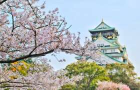 News Top Places to Visit in Japan for College Students