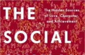 News The Social Animal by David Brooks: A Book Review for College Students