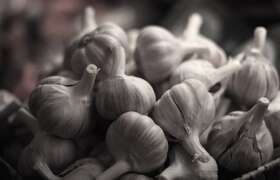 News Garlic-y Goodness: A Background on Cooking With Garlic for College Students