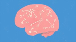 UVA Online Courses Fundamentals of Neuroscience, Part 3: The Brain for University of Virginia Students in Charlottesville, VA