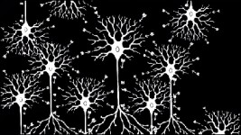 UVA Online Courses Fundamentals of Neuroscience, Part 2: Neurons and Networks for University of Virginia Students in Charlottesville, VA