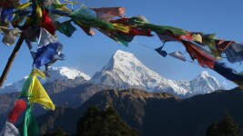Judson Student Travel Annapurna Sanctuary for Judson College Students in Marion, AL