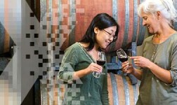 WFU Online Courses World of Wine: From Grape to Glass for Wake Forest University Students in Winston Salem, NC