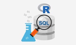 DU Online Courses SQL for Data Science with R for University of Denver Students in Denver, CO