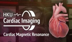 Purdue Online Courses Advanced Cardiac Imaging: Cardiac Magnetic Resonance (CMR) for Purdue University Students in West Lafayette, IN