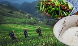 UCLA Online Courses Sustainable Global Food Systems for UCLA Students in Los Angeles, CA