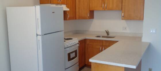 USF Housing Sunny 1BR Inner Richmond apartment! for University of San Francisco Students in San Francisco, CA