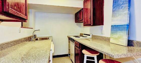 GWU Housing Large and Spacious 1 Br/ Studio in Bloomingdale for George Washington University Students in Washington, DC