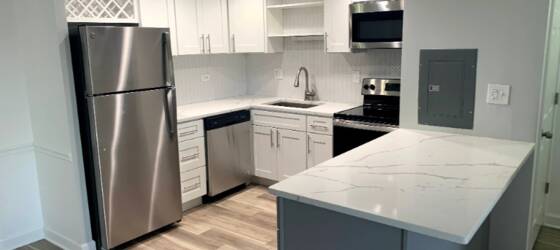 Harper Housing Newly Remodeled 2BR/1.5B Apartment with Fire Place for Harper College Students in Palatine, IL