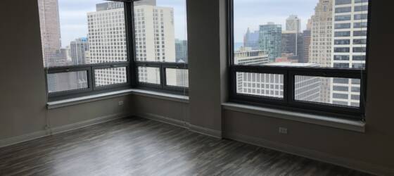 City Colleges of Chicago-Malcolm X College Housing Gorgeous 1 bed w/ amazing views! HW, Heat and A/C INCL! for City Colleges of Chicago-Malcolm X College Students in Chicago, IL