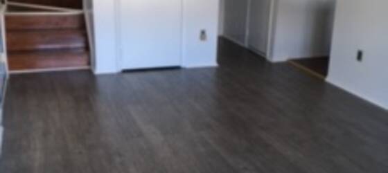 NYU Housing 2Bedroom, 1.5bath bright close to all for New York University Students in New York, NY